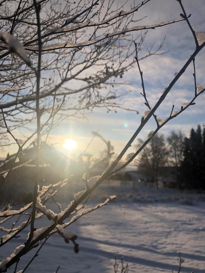 Hotel E-10 Kiruna Dış mekan fotoğraf